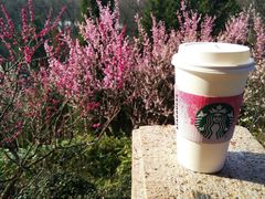 20180311-星巴克(南京狮子桥店)