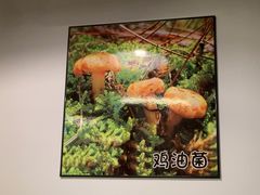 -菌乡缘·野生菌蒸汽鱼火锅(江边夜市店)