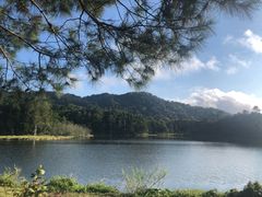 -海南热带雨林国家公园吊罗山景区