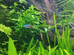 -上海海洋水族馆