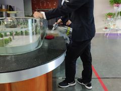 -陕西自然博物馆