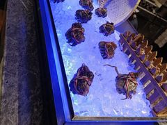 -长沙北辰洲际酒店-兰调全日餐厅