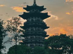 -洋湖国家湿地公园