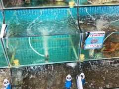 -范饭椰林川湘味海鲜·椰子鸡(三亚湾椰梦长廊店)