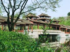 -重庆彩云湖湿地公园