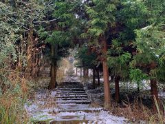 -武陵山森林公园