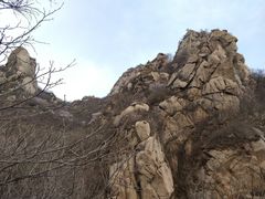 -大岭沟猕猴桃谷风景区