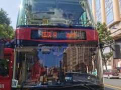 -BUS TOUR观光巴士