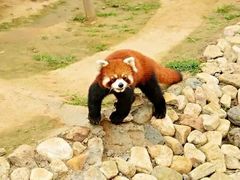 -临沂动植物园