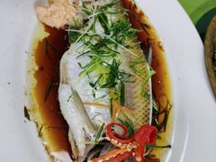 -西江河鲜·趣苑酒楼(鼎湖店)