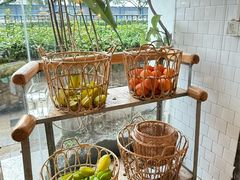 -野草莓自由市场