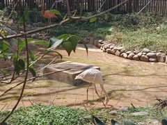 -昆明动物园