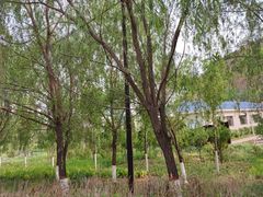 -山西乌金山旅游区