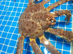 -三亚火车头万人海鲜广场