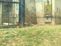 -无锡动物园·太湖欢乐园