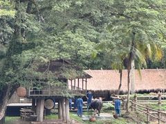 -四季酒店下午茶