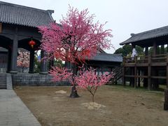-阿婆农家菜(车墩店)