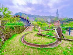 -桑洲油菜花景区