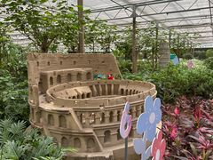 -南宫五洲植物乐园