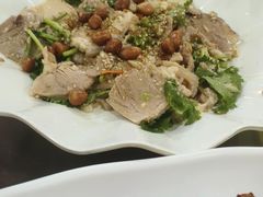 -东鸽皇(奥园·中环广场店)