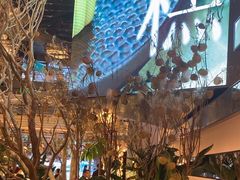 -桂满陇·海市蜃楼·黑金(国金店)