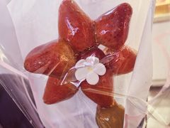 太阳花糖堆-二斗栗子(黄河道店)