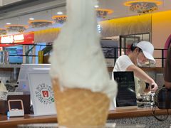 -野人先生Gelato(上海长宁龙之梦店)