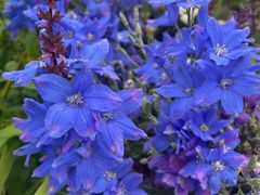 -徐家汇源景区-衡山公园