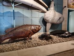 -浙江自然博物院(杭州馆)