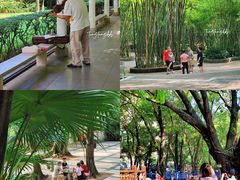 -晓港公园