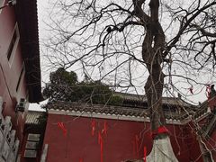 -长春观