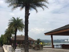 -阳宗海湿地