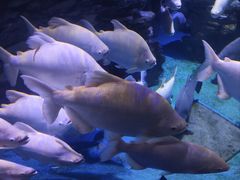 -多彩贵州城极地海洋世界