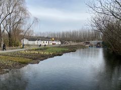 -溱湖国家湿地公园