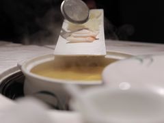 -汤城·料青山