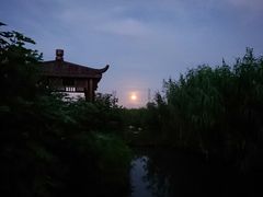 -樂桃源奉贤黄桃种植采摘基地