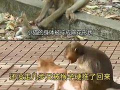 -昆明动物园