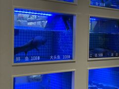 -七采菌园·野生菌石锅鱼(环城北路店)