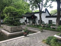 -上海醉白池公园