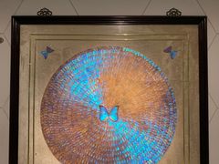 -上海昆虫博物馆