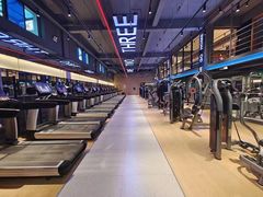-鲨鱼游泳培训中心