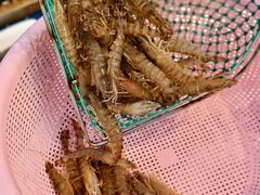 -碧海银沙海鲜餐厅(恒大海上威尼斯店)