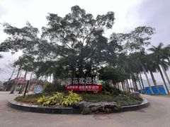 -南宁花花大世界景区