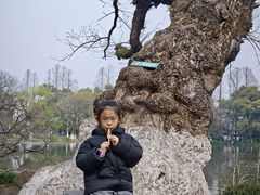 -西湖游船