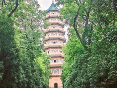 -灵谷景区