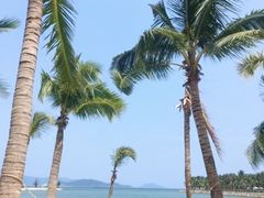 -芽庄珍珠岛游乐园