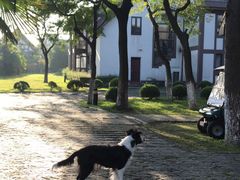 -太阳岛度假酒店