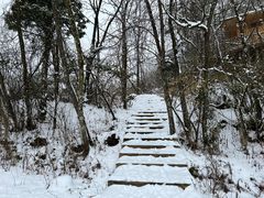 -武陵山森林公园