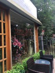 -Every Day Hair Studio