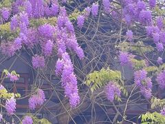 -郑和公园